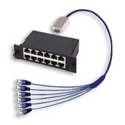 MRJ21-RJ45 Hydra cassette