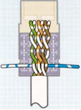 Route wires for termination, according to the chosen color code. Terminate and trim one pair at a time, starting from the rear of the connector, in the order shown. Terminating each pair after placement will prevent crushing the inside pairs with the punch down tool.