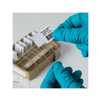 Slide Labels