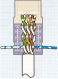 Route wires for termination, according to the chosen color code. Terminate and trim one pair at a time, starting from the rear of the connector, in the order shown. Terminating each pair after placement will prevent crushing the inside pairs with the punch down tool.